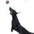 Cane salta verso una palla rossa e blu. Dimostrazione di un gioco per cani attivi.