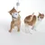 Two cats play with a hanging toy made of fabric and plastic, attached to a string.