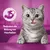 Symbol eines Magens mit Haarballen und Text: Reduziert die Bildung von Haarballen. Katze im Vordergrund.