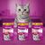 Whiskas Dentabites