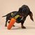 Hund spielt mit orangefarbenem Karotten-Kauspielzeug aus Kunststoff.