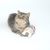 Graue Katze liegt neben einem Stoffspielzeug in Form eines Hauses mit roten und grauen Details.