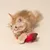Red fabric toy in the shape of a chocolate biscuit with brown accents, held by a cat.