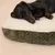 Hund schläft auf einem grünen Hundebett mit weicher, cremefarbener Oberfläche.