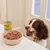 Blik Lily's Kitchen natvoer en een kom met nat hondenvoer op tafel, hond zichtbaar naast de tafel. Blik toont merknaam en illustraties.