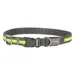 Kerbl Pet Light & Reflex verlichte halsband - Maat S/M: 35-50 cm nekomtrek, 20 mm breed
