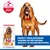 Hill's Science Plan Mature Adult 7+ Medium Light poulet pour chien