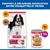 Hill's Science Plan Adult 1-6 Medium Agneau, riz