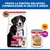 Hill's Science Plan Adult 1-5 Large con Agnello e Riso