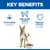 Hill's Science Plan Adult 1-6 Performance Medium with Chicken