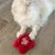 Giocattolo di peluche rosso a forma di fiore con volto sorridente, su pavimento in legno. Zampe anteriori di un animale chiaro visibili.