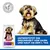 Hill's Science Plan Sensitive Stomach & Skin Adult 1+ Small & Mini mit Huhn