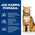 Hill's Prescription Diet c/d Multicare Urinary Care z kurczakiem