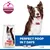 Hill's Science Plan Perfect Digestion Adult 1+ Medium csirke & barna rizs