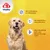 8in1 Vitality multivitaminske tablete Adult