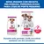 Hill's Science Plan Puppy Small & Mini cordeiro e arroz