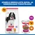 Hill's Science Plan Adult 6 x 370 g
