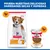 Hill's Science Plan Adult 1-6 Light con pollo latas para perros Hill's Science Plan Adult 1-6 Light con pollo latas para perros