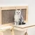 Katzenmöbel aus Holz mit Sisal-Kratzfläche und gepolsterter Liegefläche. Graue Katze sitzt auf der Liegefläche.
