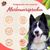 Markenversprechen: Ohne Tierversuche, frei von Sulfaten, umweltfreundliche Inhaltsstoffe, 100% vegan, ohne Plastik, hergestellt in den USA. Hund im Vordergrund.