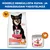 Hill's Science Plan Perfect Digestion Adult 1+ Small & Mini kana & ruskea riisi Hill's Science Plan Perfect Digestion Adult 1+ Small & Mini kana & ruskea riisi