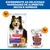Hill's Science Plan Adult Dog Sensitive Stomach & Skin