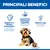 Hill's Science Plan Sensitive Stomach & Skin Adult Small & Mini Mousse Tacchino