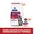 Hill's Prescription Diet i/d Digestive Care Kitten pollo en salsa