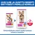 Hill's Science Plan Adult 1-6 Small & Mini -koiranruoka: uusi pakkausdesign ja resepti, maininta ActivBiome+ Multi Benefit -ominaisuudesta. Vaihdon aikana molemmat pakkaukset mahdollisia. Hill's Science Plan Adult 1-6 Small & Mini -koiranruoka: uusi pakkausdesign ja resepti, maininta ActivBiome+ Multi Benefit -ominaisuudesta. Vaihdon aikana molemmat pakkaukset mahdollisia.