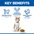 Key Benefits: Clinically proven, supports urinary tract health with controlled minerals, helps maintain vitality with a high L-lysine content. Image shows a cat and a food bowl. Key Benefits: Clinically proven, supports urinary tract health with controlled minerals, helps maintain vitality with a high L-lysine content. Image shows a cat and a food bowl.