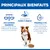 Principaux avantages : alimentation équilibrée, ingrédients facilement digestibles, vitamines C+E pour soutenir le système immunitaire et équilibre minéral pour la santé des reins et du cœur. Principaux avantages : alimentation équilibrée, ingrédients facilement digestibles, vitamines C+E pour soutenir le système immunitaire et équilibre minéral pour la santé des reins et du cœur.