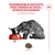 Royal Canin Fussy Exigent