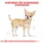 Sortiment für Rassehunde: Chihuahua. Illustration eines Chihuahuas mit Massangaben.