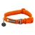 Ruffwear Front Range Halsband, Blaze Orange - Halsumfang 36 - 51 cm, 25 mm breit (Größe M) Ruffwear Front Range Halsband, Blaze Orange - Halsumfang 36 - 51 cm, 25 mm breit (Größe M)