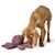 HUNTER Jouet pour chien Pieuvre Wales