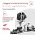 Royal Canin Veterinary Canine Glycobalance Mousse