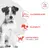 Graphic with dog and three points: Glucomodulation, Palatability, Adapted Kibble for Small Jaws. Top right reads Veterinary Nutrition. Graphic with dog and three points: Glucomodulation, Palatability, Adapted Kibble for Small Jaws. Top right reads Veterinary Nutrition.