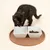 Modern Living ruokakuppialusta Avanos, mokka - noin Ø 29, x K 1 cm Modern Living ruokakuppialusta Avanos, mokka - noin Ø 29, x K 1 cm