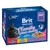 Brit Premium Cat 12 x 100 g - Family Plate Brit Premium Cat 12 x 100 g - Family Plate