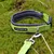 Icepeak Pet Grand X Halsband, limette