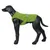 Icepeak Pet Cooling Dog Vest – Green