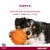 Advantix® 40/200 Spot-On Solution voor Honden tot 4 kg