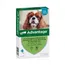 Advantage® 100 voor Honden 4 - 10 kg - Dubbelpak 2 x 4 Pipetten - NL