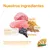 Ingredientes: carne de cordero, arándanos, espelta, avena. Cordero de Nueva Zelanda, proteínas de alta calidad y cereales ancestrales para una alimentación equilibrada. N&D Ancestral Grain.