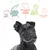 Cibo puro, Perfetto equilibrio proteine-grassi, Benessere degli animali, Per un pianeta migliore, Cani sani e felici (testo visibile sopra un cane nero)
