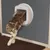 PetSafe cat flap with transparent flap mechanism, cat passing through the door opening.