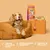 Pet food product with text: supports immunity and vitality, freshly prepared ingredients, approved by vets and pets. Food bag, bowl labelled Bailey, and toy shown.