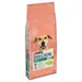 Purina Dog Chow Adult Light kalkkuna - 14 kg