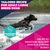 Eukanuba Premium Nutrition Adult Large & Giant Breed Chicken
