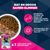 Eukanuba Premium Nutrition Puppy Klein Ras Kip